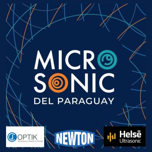 Microsonic 