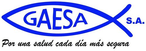Gaesa