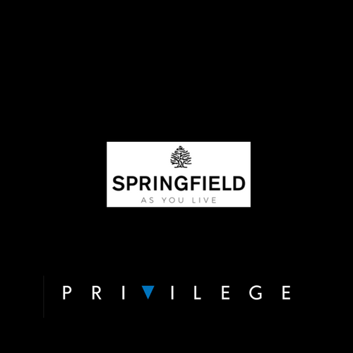 Springfield - Privilege